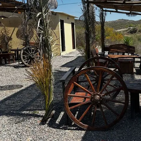 Rueda de carreta junto a las mesas bajo la pérgola