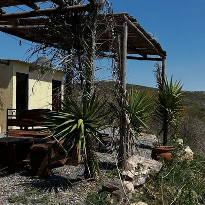 Rincón con agaves y mesas de madera